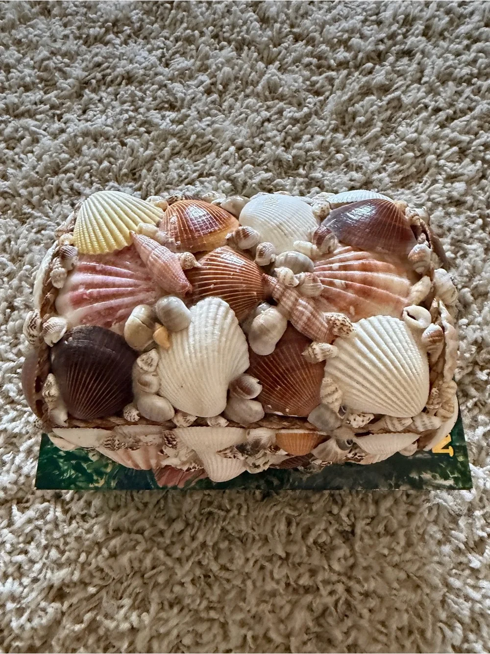 Vintage Shell-Covered Decorative Box in Cream, Brown, Pink